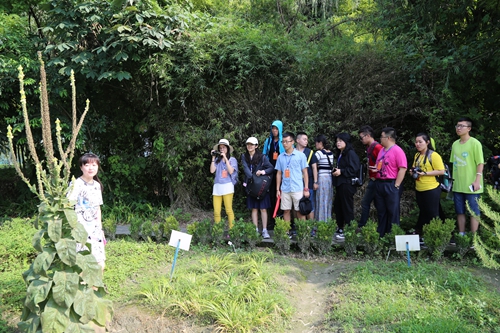 化体验营活动圆满结营开元川台学生中医药文(图2)